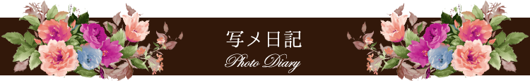 写メ日記