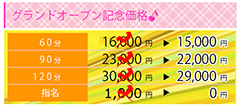 オープン記念価格