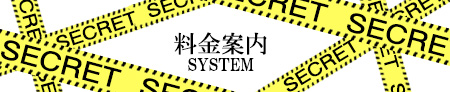 茨城県風俗『秘密の裏バイト.inc』料金案内