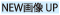  fw Zut NEW摜UP