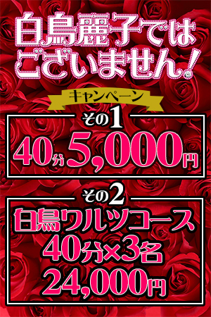水戸市デリヘル【白鳥麗子ではございません！】激安1万円コース