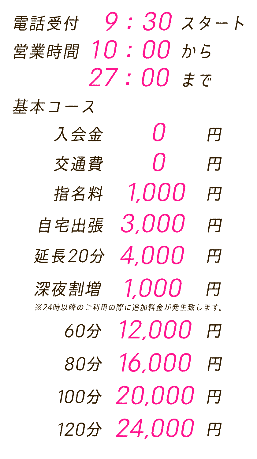 水戸市デリヘル【白鳥麗子ではございません！】の料金システム